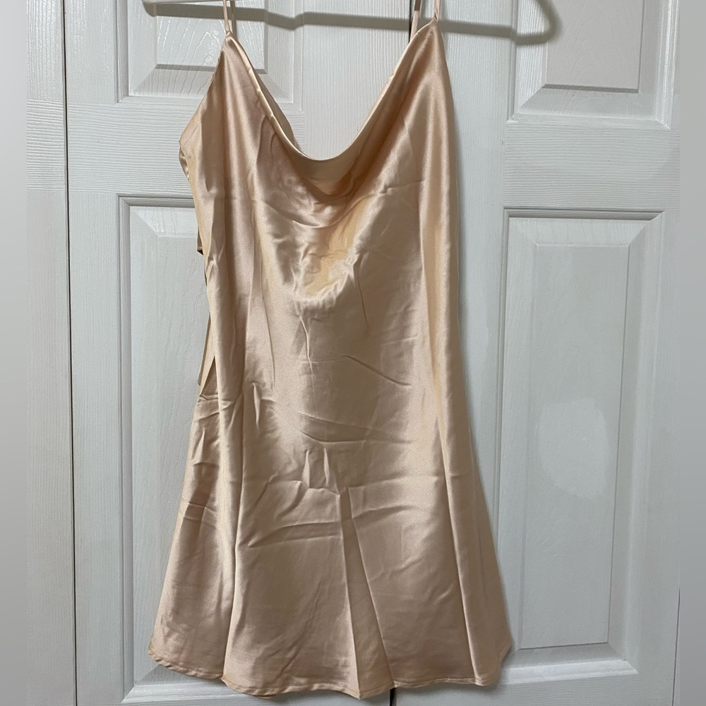 Never before worn silk mini dress. Cowl neck and from princess polly.